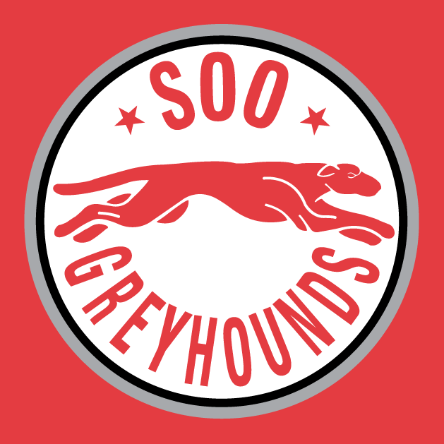 Sault Ste. Marie Greyhounds 1998-2009 alternate logo iron on transfers for T-shirts